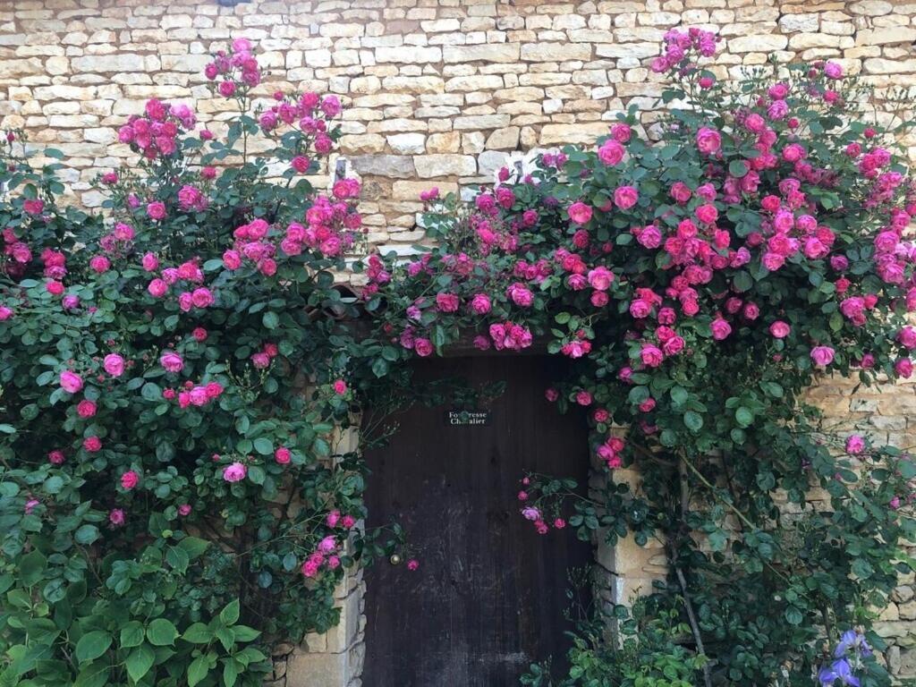 Blacksmiths Cottage In Blanzay - 3 Beds 外观 照片